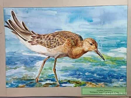 ХО "Родогуна"  приглашает на курсы-Рисование, шахматы( Suratkeşlik. Kuşt),Ораторское искусство, Вязание крючком и спицами