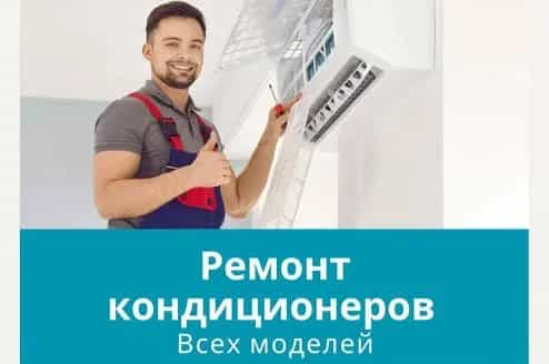 Kansaner ussa